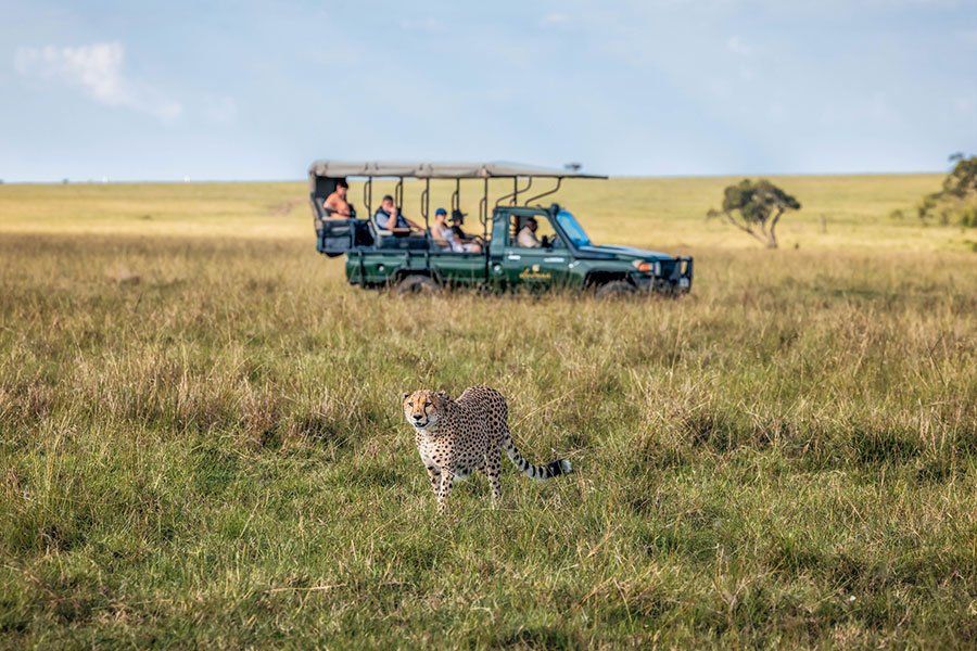 Elewana-Elephant-Pepper-Camp---Cheetah&Car